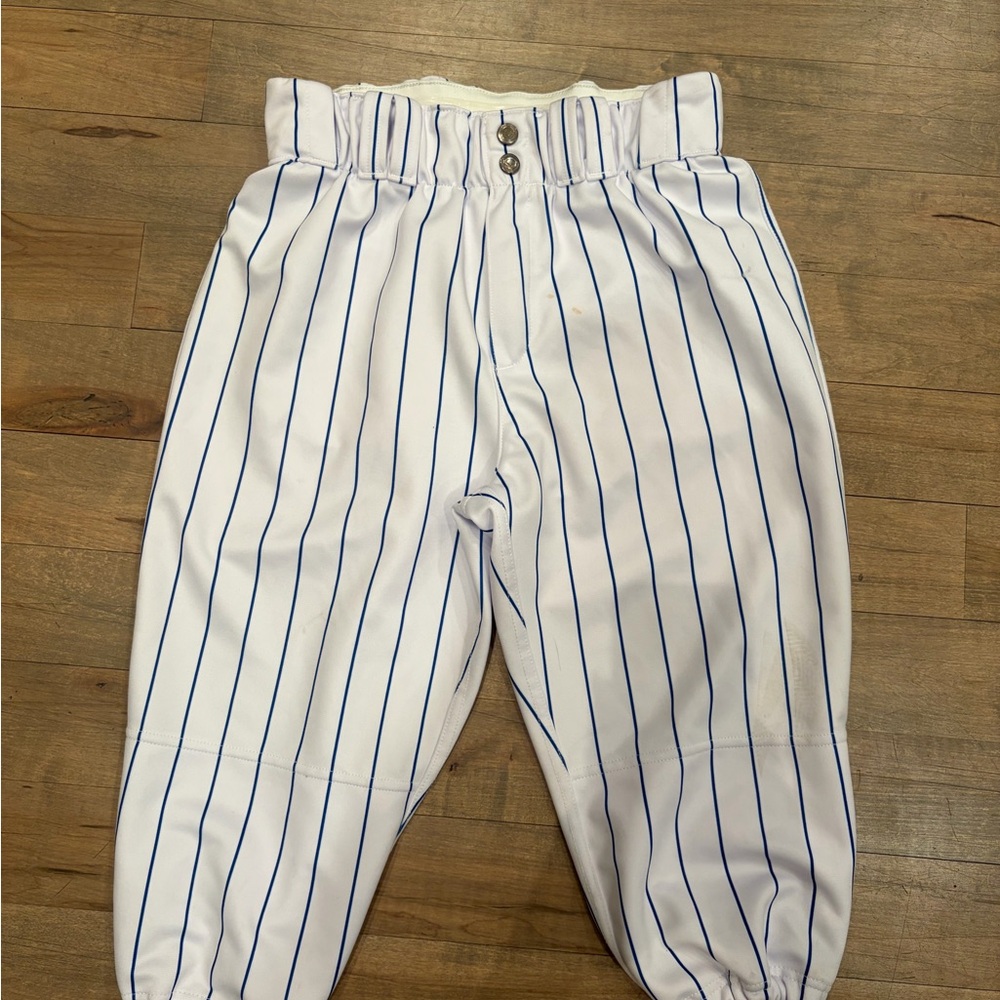 EvoShield Men’s Pinstripe Baseball Pants – Size 30 (M) White/Blue, Pro Style